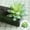 A, variant on Hot Sale!Veeogra Artificial Succulents Succulent Plants Artificial Indoor Outdoors – Realistic Faux for Home DIY Décor – Small Desert Plastic Cacti Succulants,Multi-color