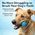 thumbnail image 3 of Fountwell Dog Dental Chew Toy Pet Oral Care Brushing Teeth Cleaner for Small Medium Large Dogs, 3 of 8