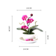 thumbnail image 3 of Simulación de cerámica orquídea planta en maceta decoración del hogar sala de estar decoración de oficina arte suave planta de simulación flor (rosa) JM  JM, 3 of 5