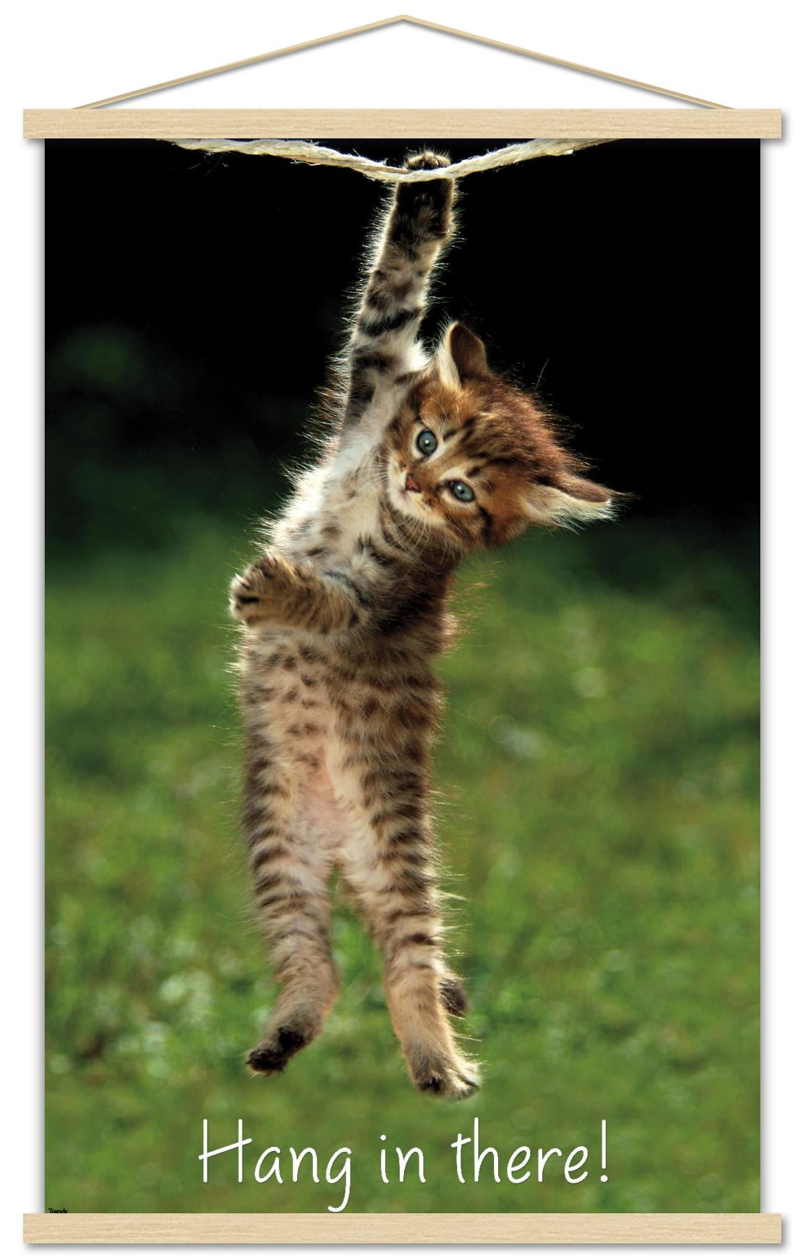 Famous Kitten Hang In There 40" x 24" Poster, by Trends International