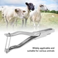 thumbnail image 3 of Ear Tag Applicator, Ear Notcher Accurate Marking Stainless Steel  for Livestock, 3 of 7