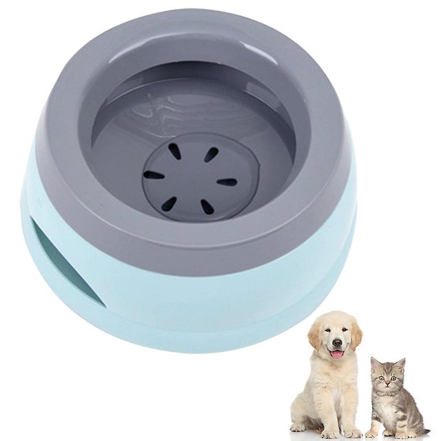 No más tazones para perros derramados con el hogar y los viajes, más pisos mojados. esquí esquí Gafas de esquí