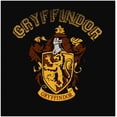 thumbnail image 7 of Harry Potter Gryffindor Youth Boys Black T-Shirt-Medium, 7 of 7