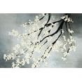 thumbnail image 2 of Taylor, Kari 18x13 White Modern Wood Framed Museum Art Print Titled - Cherry Tree, 2 of 4