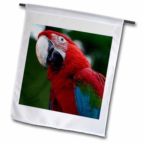 3dRose, Scarlet Macaw, 12 x 18 inch Garden Flag