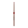 thumbnail image 1 of Rouges à Lèvres pour Femmes Crayon à Lèvres Rotatif Automatique Petit Lot Rouge à Lèvres Imperméable Longue Durée Mat Crayon à Lèvres Maquillage, 1 of 6