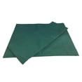 thumbnail image 1 of 1x Asiento de tela Suave con respalda cómodo Taburete Plegable Verde Sunnimix Lienzo para Director Silla, 1 of 8