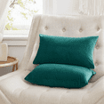 thumbnail image 2 of StangH Teal Velvet Throw Pillow Covers Super Soft Home Decoration for Couch Living Room, Solid Decorative Rectangle Lumbar Cushion Cases for Balcony/Bed/Car, 12x20 inches, Set of 2, 2 of 7