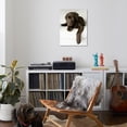 thumbnail image 3 of Chocolate Lab Puppy, Animals Unframed Photographic Print Wall Art by Jim Craigmyle Sold by ArtCom, 3 of 4