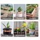 thumbnail image 3 of 2X ProteccióN Caracoles, Cinta de Cobre Caracoles para Jardines Plantas Elevadas Cinta de Cobre LáMina de Cobre Repelente de Caracoles B, 3 of 5