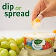 thumbnail image 3 of M4SpreadLicious Cream Cheese Fruit Dip, 13.5 oz. Tub-Pack Of 2, 3 of 4