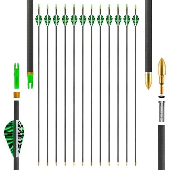 Carbon Arrows 31in for Hunting & Target Practice, 12 Pack with Removable Tips, Compatible with Compound & Recurve Bows‌