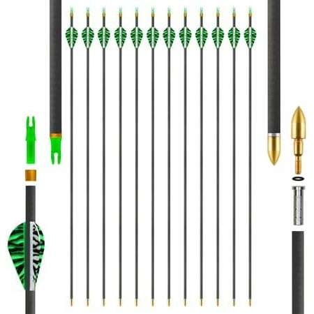 Carbon Arrows 31in for Hunting & Target Practice 12 Pack with Removable Tips Compatible with Compound & Recurve Bows