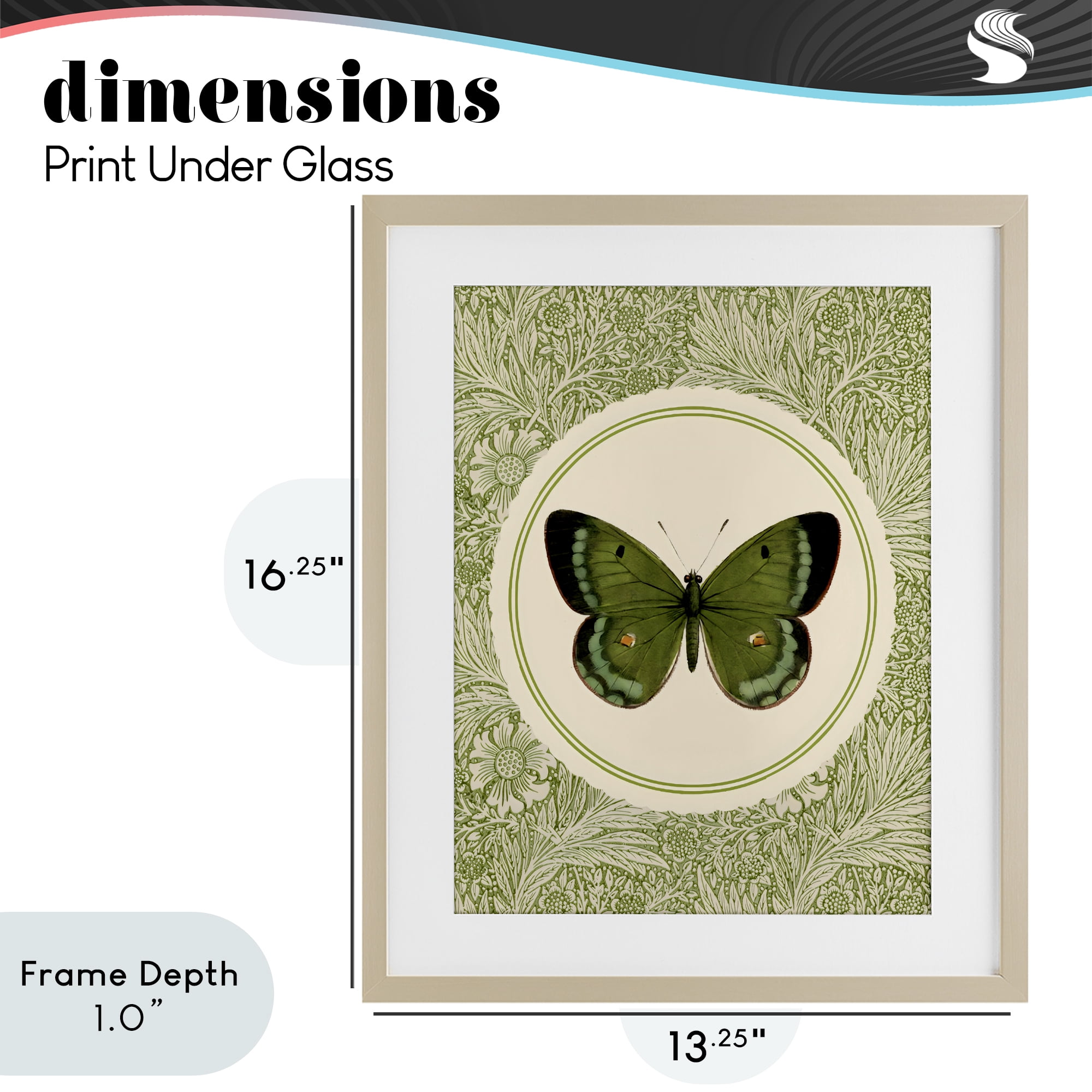 Stupell Industries Green Butterfly Botanical Medallion Birch Framed Print Under Glass, design by LSR Design Studio