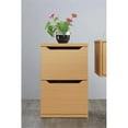 thumbnail image 3 of Denmark 2-Drawer Engineered Wood Vertical File with Lockdowel  in Natural Finish, 3 of 11