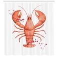 thumbnail image 3 of Ambesonne Lobster Shower Curtain, Fresh Organic Seafood, 69"Wx70"L, Vermilion and White, 3 of 3