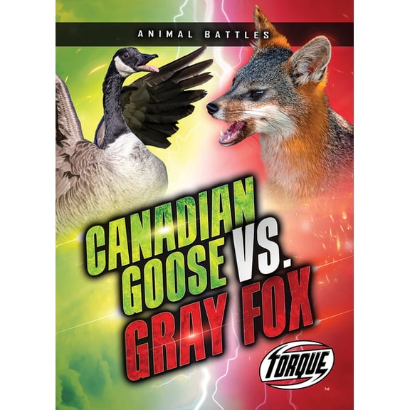 Animal Battles Canada Goose vs. Gray Fox, (Paperback)