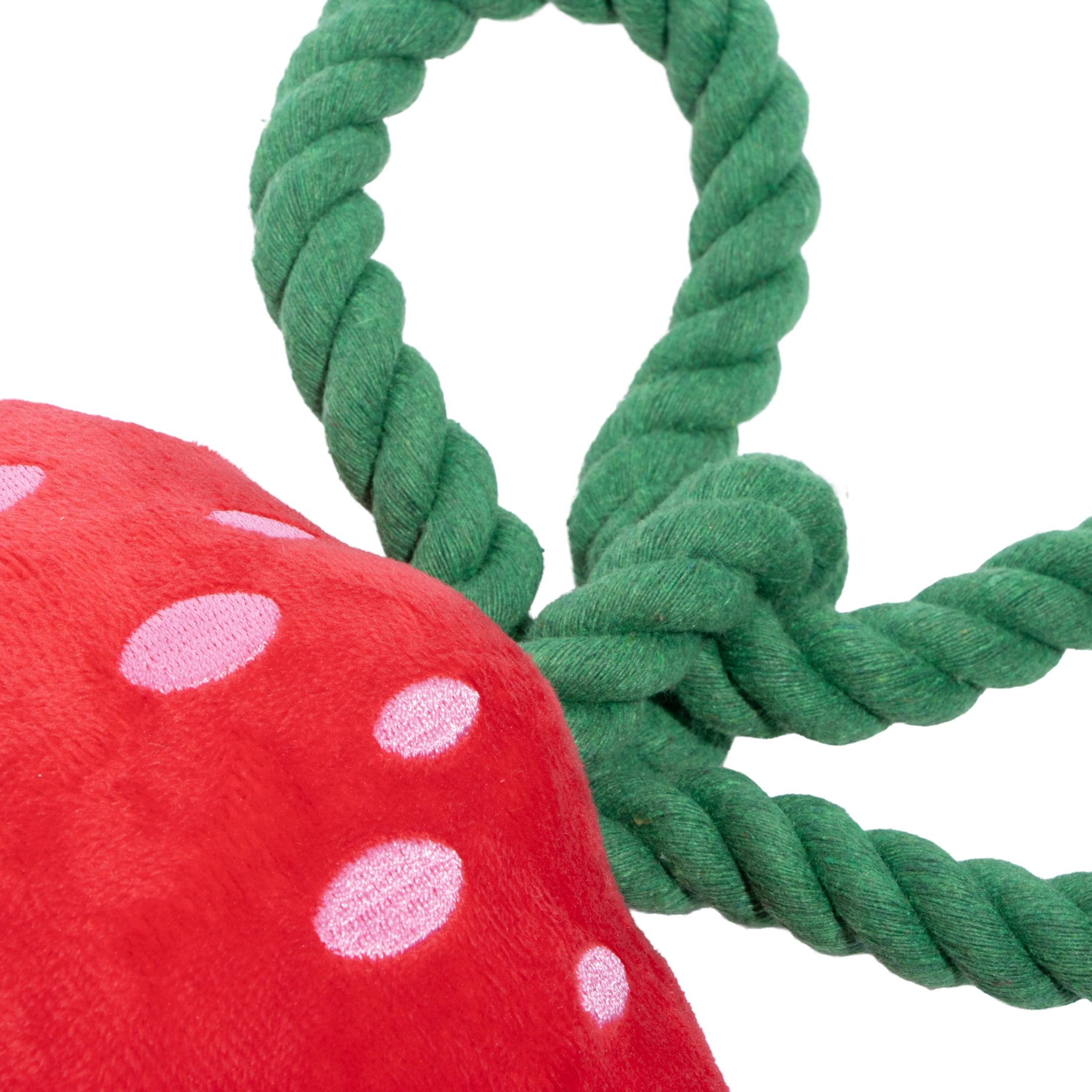 Oodles Durable Cherry and Strawberry Plush Dog Toy Set, Multicolored, One Size