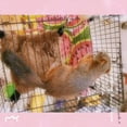 thumbnail image 5 of Rodent Hammock For Rats, Hamsters, Chinchillas And Squirrels, 5 of 5