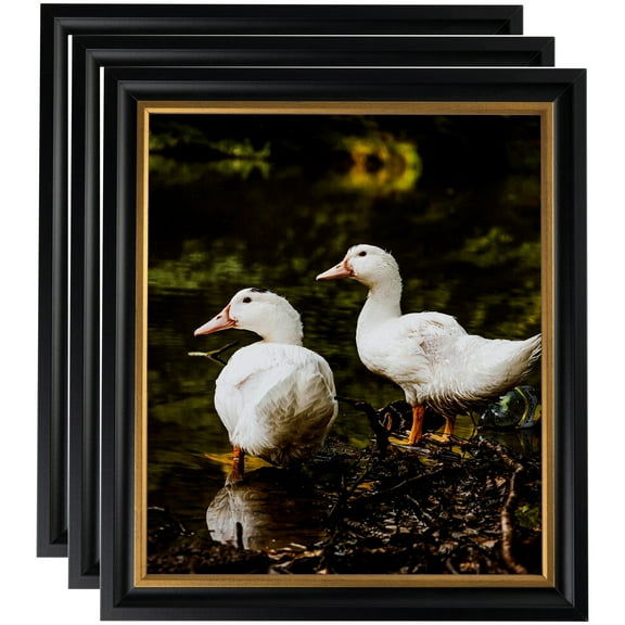ArtToFrames 13" x 19" Black Velvet with Gold - 1.25 Picture Frame, 13x19 inch Black MDF Poster Frame (WOM-4690), 3 Pack