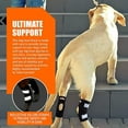 thumbnail image 3 of NeoAlly Dog Rear Leg Braces Ankle Support [Pair] Canine Hind Hock Sleeves with Safety Reflective Straps for Injury, Sprain, Wound Healing and Loss of Stability from Arthritis (Large Pair), 3 of 9