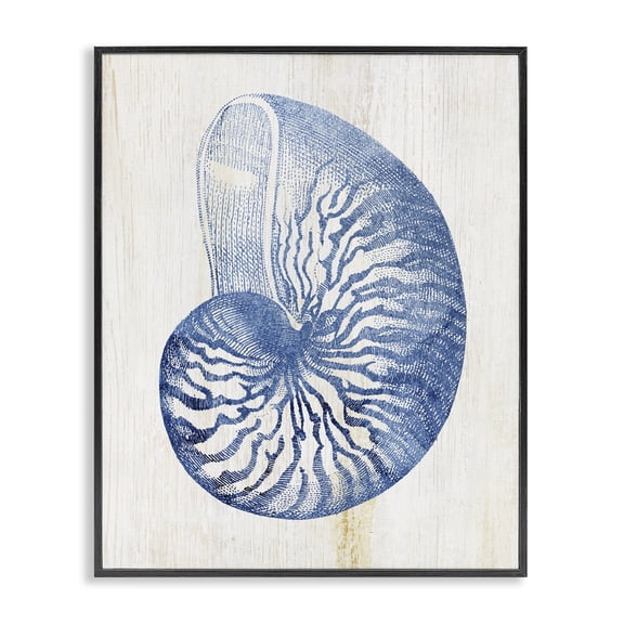 Stupell Industries Traditional Blue Nautilus Shell Black Framed Giclee Art, 11 x 14, by Susan Arnot