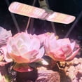 thumbnail image 1 of 36W LED crece la luz plegable Sunlike lámpara de espectro completo LED Sunlike crece las luces, 1 of 7