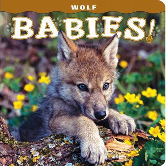 Pre-Owned Wolf Babies! (Board book) 1560375663 9781560375661