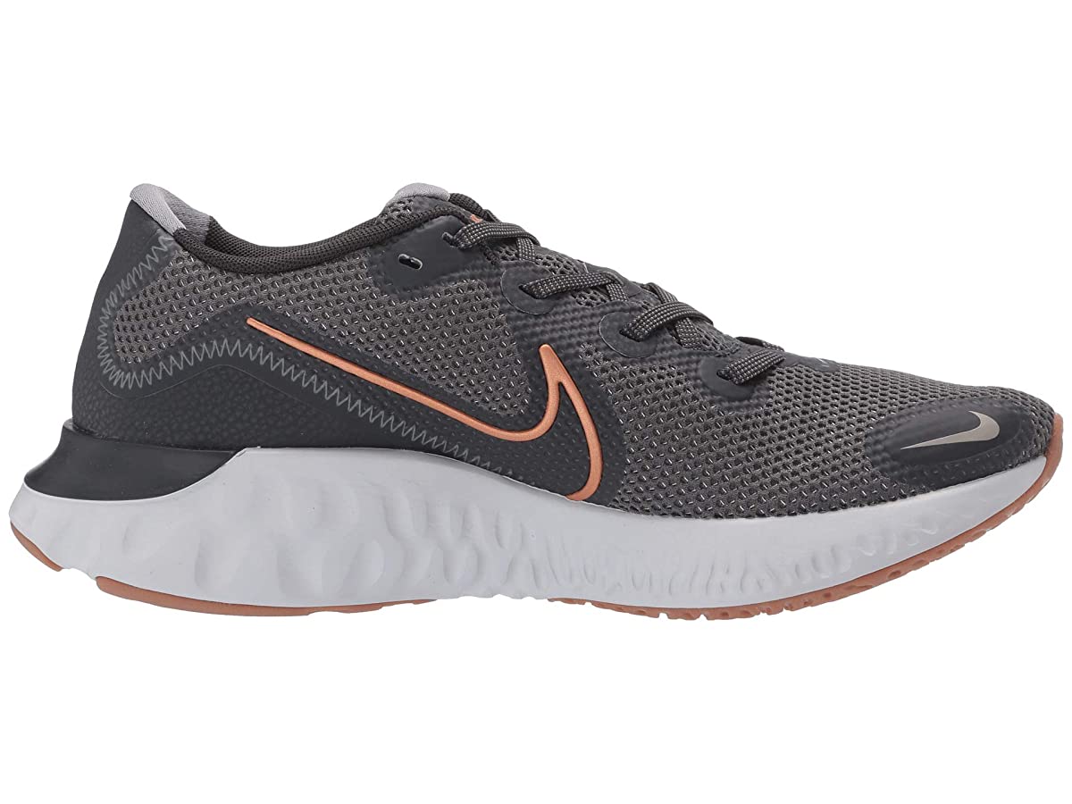 Nike Renew Run Iron Grey/Metallic Copper/Dark Smoke Grey - image 1 of 6