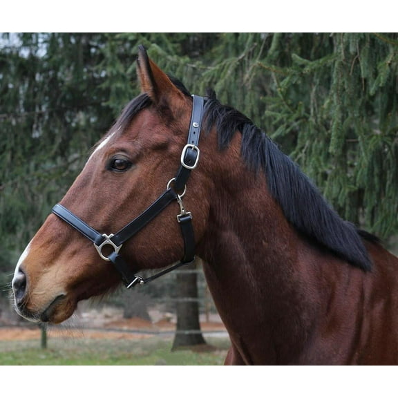 Henri de Rivel Everyday Halter