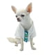 thumbnail image 1 of Guayabera para Perro Mascotti Alebrijes XXS, 1 of 3