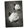 thumbnail image 2 of Gango Home Decor Tulip Tree Duet B&W by Vitaly Geyman (Ready to Hang); One 24x36in Hand-Stretched Canvas, 2 of 4