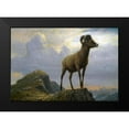 thumbnail image 2 of Bierstadt, Albert 18x14 Black Modern Framed Museum Art Print Titled - Study of a Bighorn Ram, 2 of 5