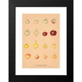 thumbnail image 2 of Nikolai Ivanovich Vavilov 13x18 Black Modern Framed Museum Art Print Titled - The Wild Apples of Caucasus, 2 of 5