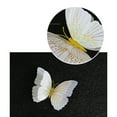 thumbnail image 4 of 12pcs/Butterfly Wall Decoration Removable 3D Butterfly Wall Decals for DIY Wedding Birthday Home Decor Party Photo Prop, 4 of 4