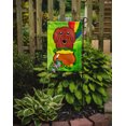 thumbnail image 2 of Carolines Treasures BB1958GF Longhair Rouge Teckel St. Patricks Jour Drapeau Jardin, 2 of 3