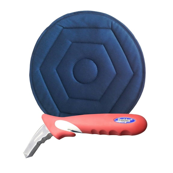 Stander Automobility Solution, 2 in1 Handy Bar and Swivel Seat Cushion Combo