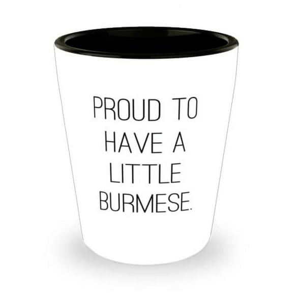 Burmese Cat For Cat Lovers, Proud to Have a Little Burmese, Useful Burmese Cat Shot Glass, Ceramic Cup From Friends