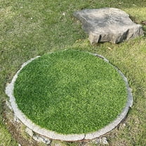 PBPBOX Artificial Grass Rug Green Plastic Decorative Table Mat for Home Use