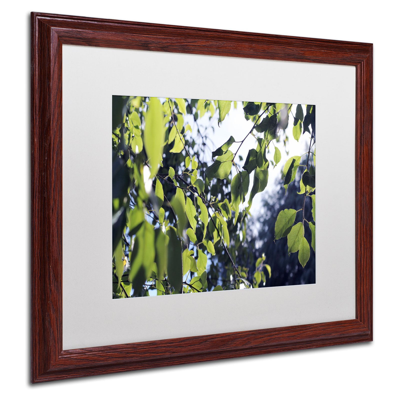 Trademark Fine Art "Whispers of Summer" Canvas Art by Beata Czyzowska Young, White Matte, Black Frame