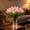 10PCS-Pink, variant on Twinkling Tree Tulips Night Light, 15PCS Tulip Lamp Artificial Flowers with Vase, LED Plant Light Up Flowers for Bedroom Decor, Radiant Romantic Gifts for Women, Mom Valentine's Day (15PCS-Mixed)