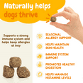 thumbnail image 2 of Inner Paw Allergy Chews, Itch Relief for Dogs, Vegetable Flavor, 60 Count, 2 of 8