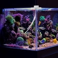 thumbnail image 4 of LOVEVER 1 Set Automatic Aquarium Water Replenishment Device Small Level Level Waterproof Adjustable Regulator Automatic Water, 4 of 8