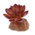 thumbnail image 4 of TERRARIUM Falso MULTISUCULENTE PLANTA DECORACIÓN VIVARIUM - 1, 4 of 5