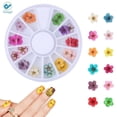 thumbnail image 2 of Deago 2 Boxes Dried Flowers for Nail Art,12 Colors Dry Flowers Mini Real Natural Flowers Nail Art Supplies 3D Applique Nail Sticker for Tips Manicure Decor, 2 of 8
