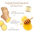 thumbnail image 3 of Bigelow Ginger Honey Plus Zinc, Caffeine Free, Herbal Tea Bags, 18 Count, 3 of 12