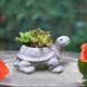 thumbnail image 1 of Maceta de tortuga, maceta de tortuga, florero decorativo, maceta de resina, maceta para estantería, cafetería, decoración del hogar Gris, 1 of 8