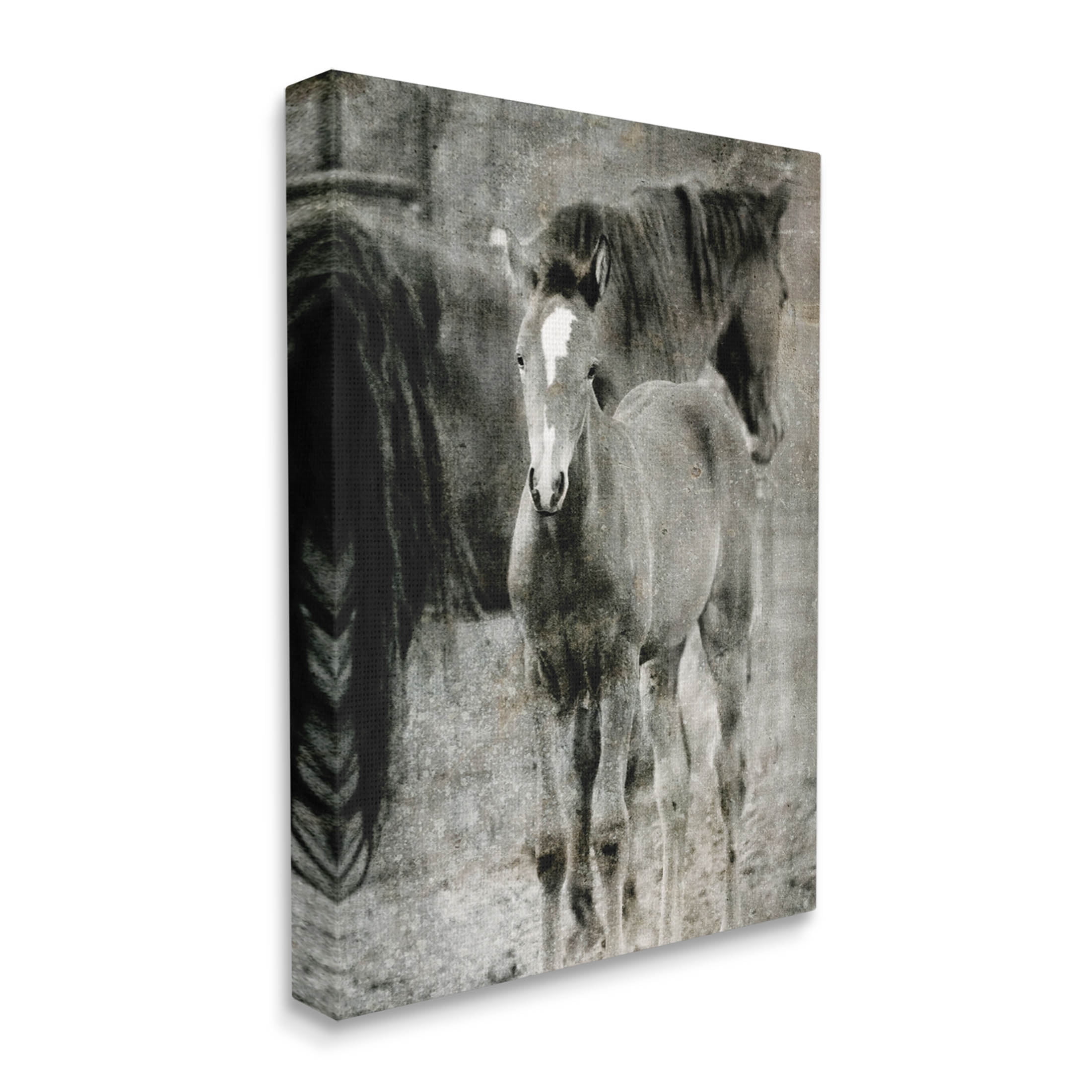 Vintage Foal Horse Farmland Animals & Insects Graphic Art Gallery Wrapped Canvas Print Wall Art