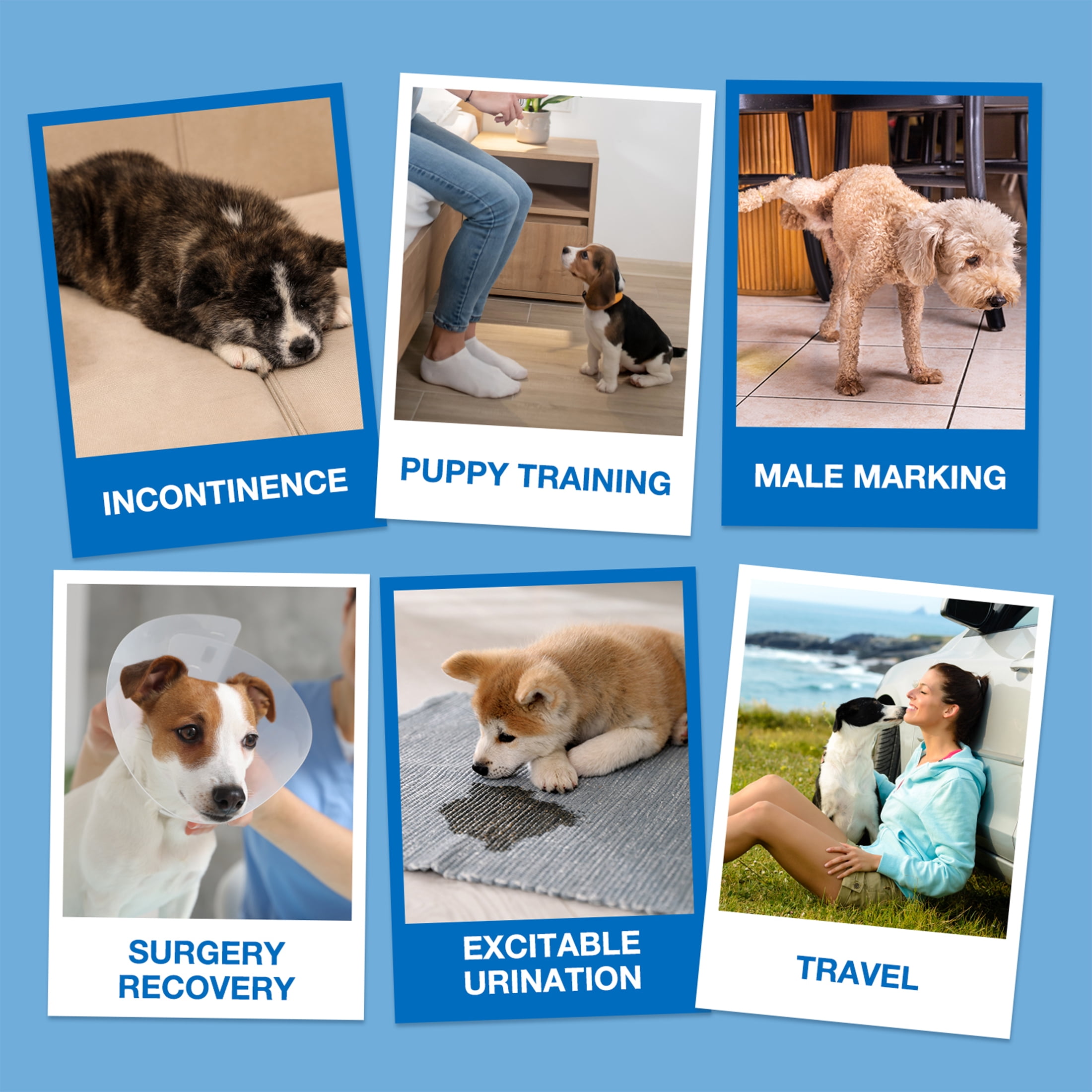 Dono Disposable Male Dog Wraps, Super-Absorbent, Wetness Indicator Design Fit Small 60 Count