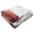 thumbnail image 5 of Warner Bros Game Of Thrones Mother Of Dragons Kids Silk Touch Throw Blanket, 5 of 5